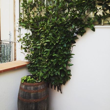 Il Terrazzino Sul Kemonia Apartment Palermo Ngoại thất bức ảnh