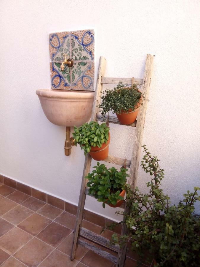 Il Terrazzino Sul Kemonia Apartment Palermo Ngoại thất bức ảnh